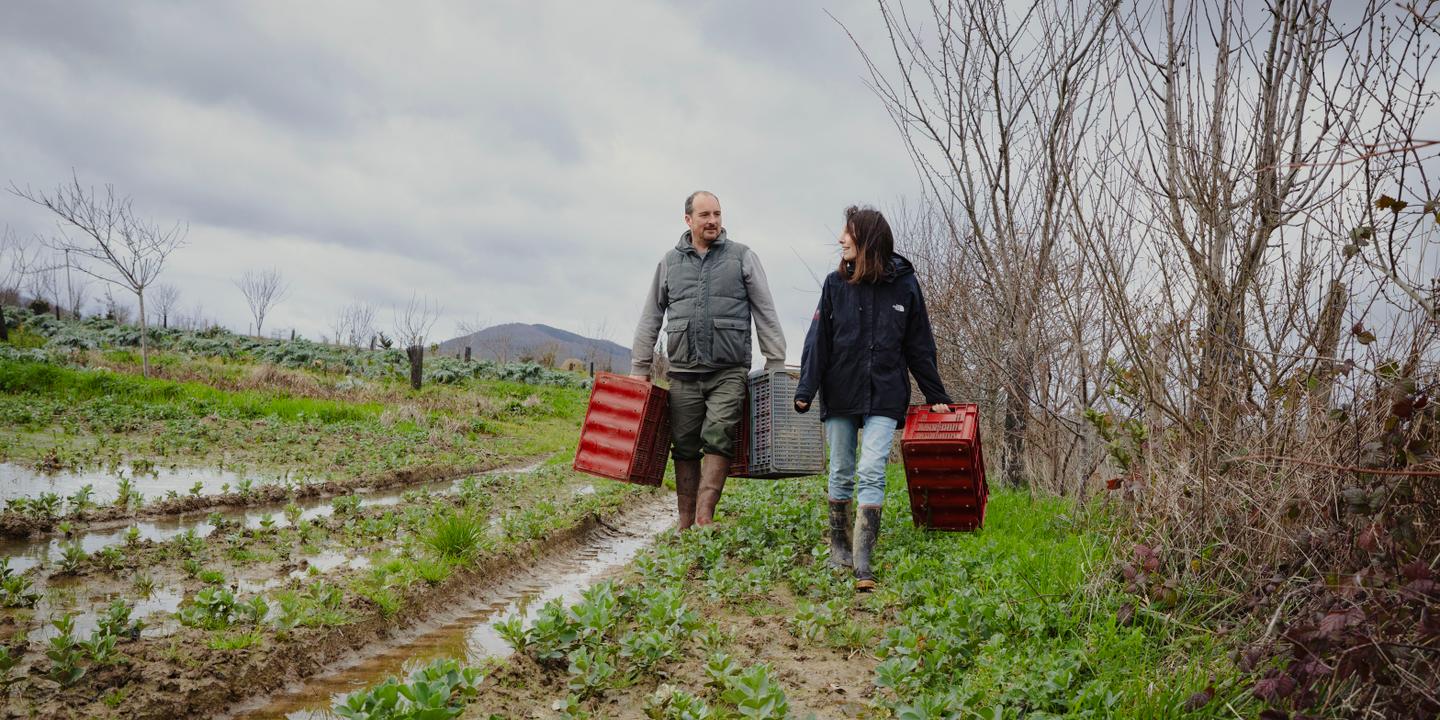 Ariège : la précarité des agriculteurs face aux revenus inférieurs à 1 000 euros mensuels