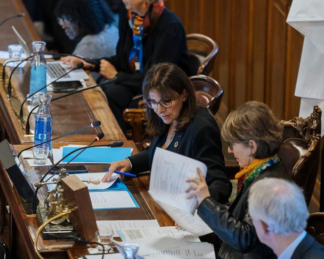 Anne Hidalgo, lors d’un Conseil de Paris, le 18 novembre 2024.