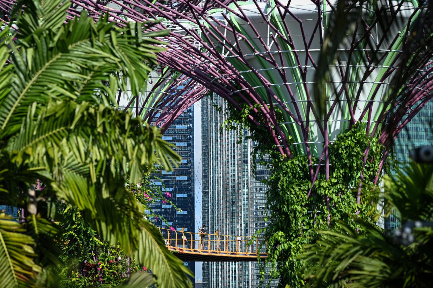 Le solarpunk propose un acte nouveau de subversion : imaginer un futur radieux