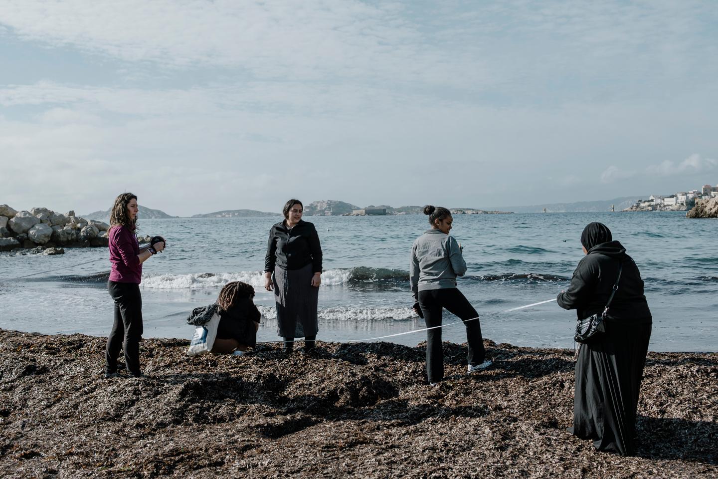 Protection de la biodiversité : à Marseille, des citoyens volontaires recensent faune et flore marines