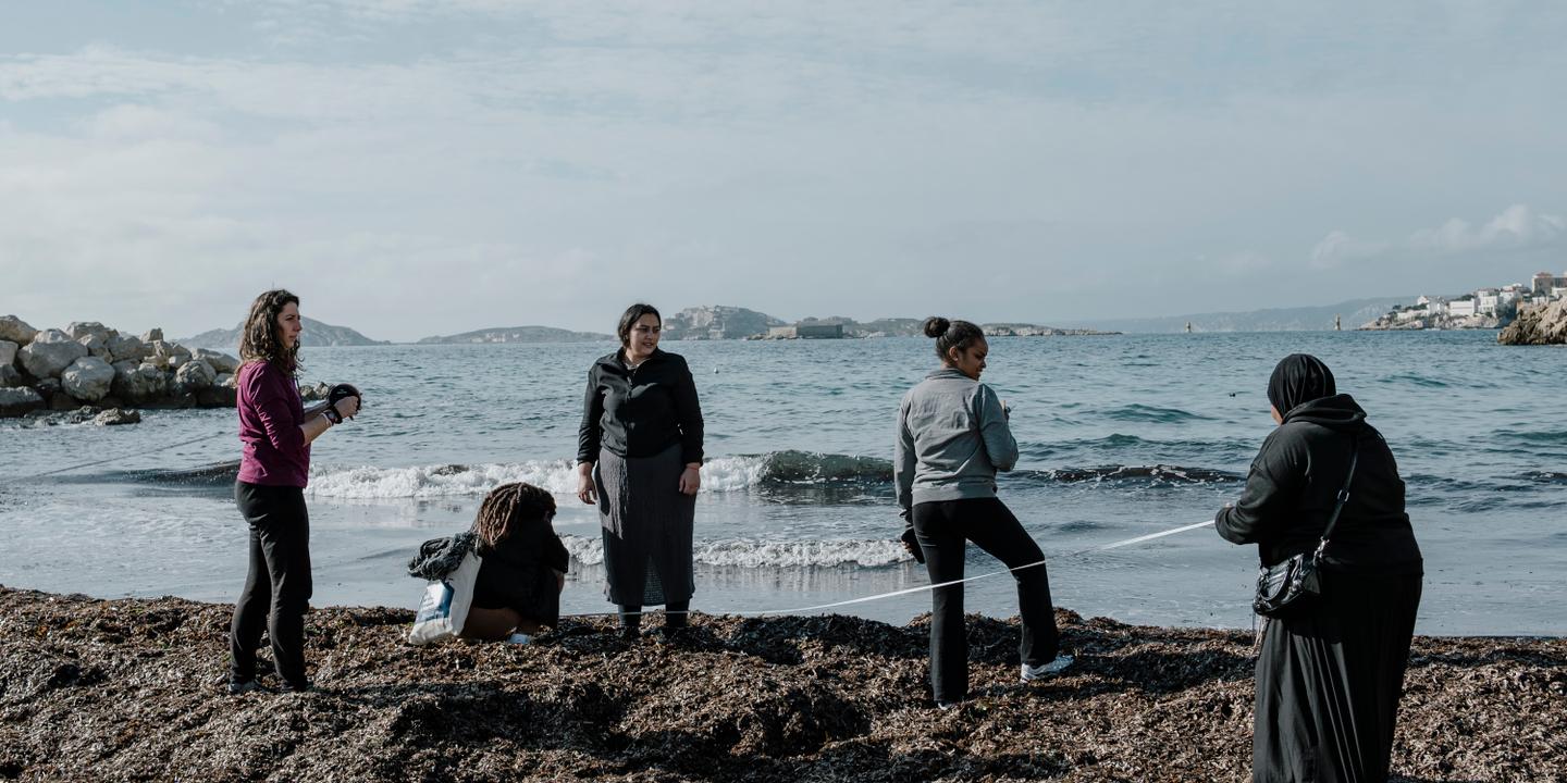 Marseille : des volontaires étudient la posidonie, trésor menacé de la Méditerranée