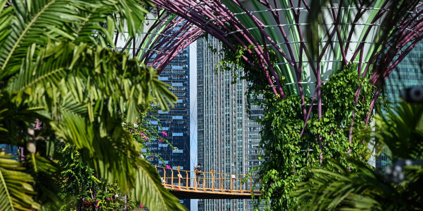 Solarpunk : la science-fiction qui imagine un futur écologique et optimiste