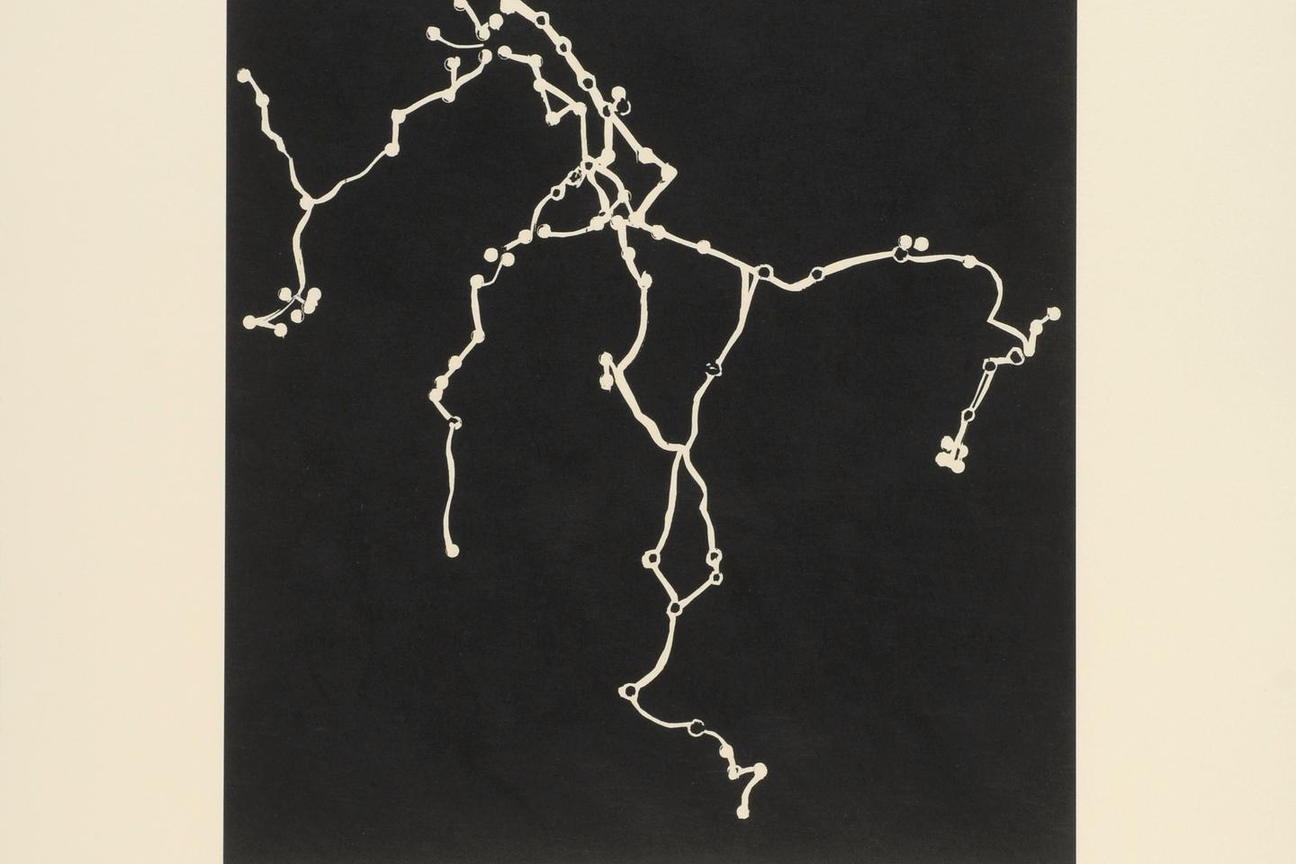 « L’essor de la Chine en Asie du Sud a bouleversé l’ordre régional »