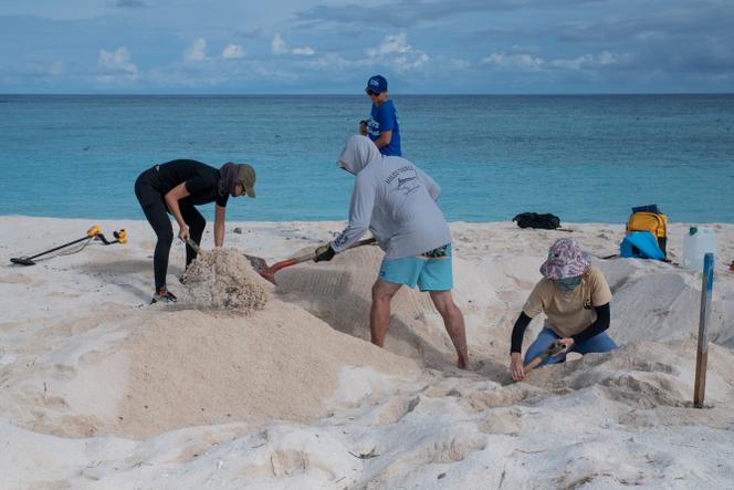 L’équipe scientifique du WWF creuse pour retrouver un thermomètre sur l’îlot Fabre, dans la réserve des atolls d’Entrecasteaux, en mer de Corail, Nouvelle-Calédonie, le 2&nbsp;mars&nbsp;2026.