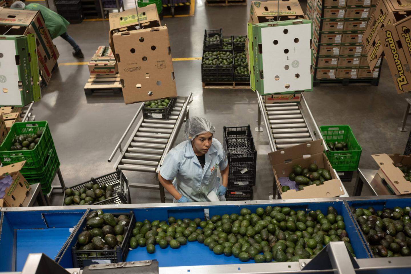 Le Mexique avance timidement vers la semaine de quarante heures