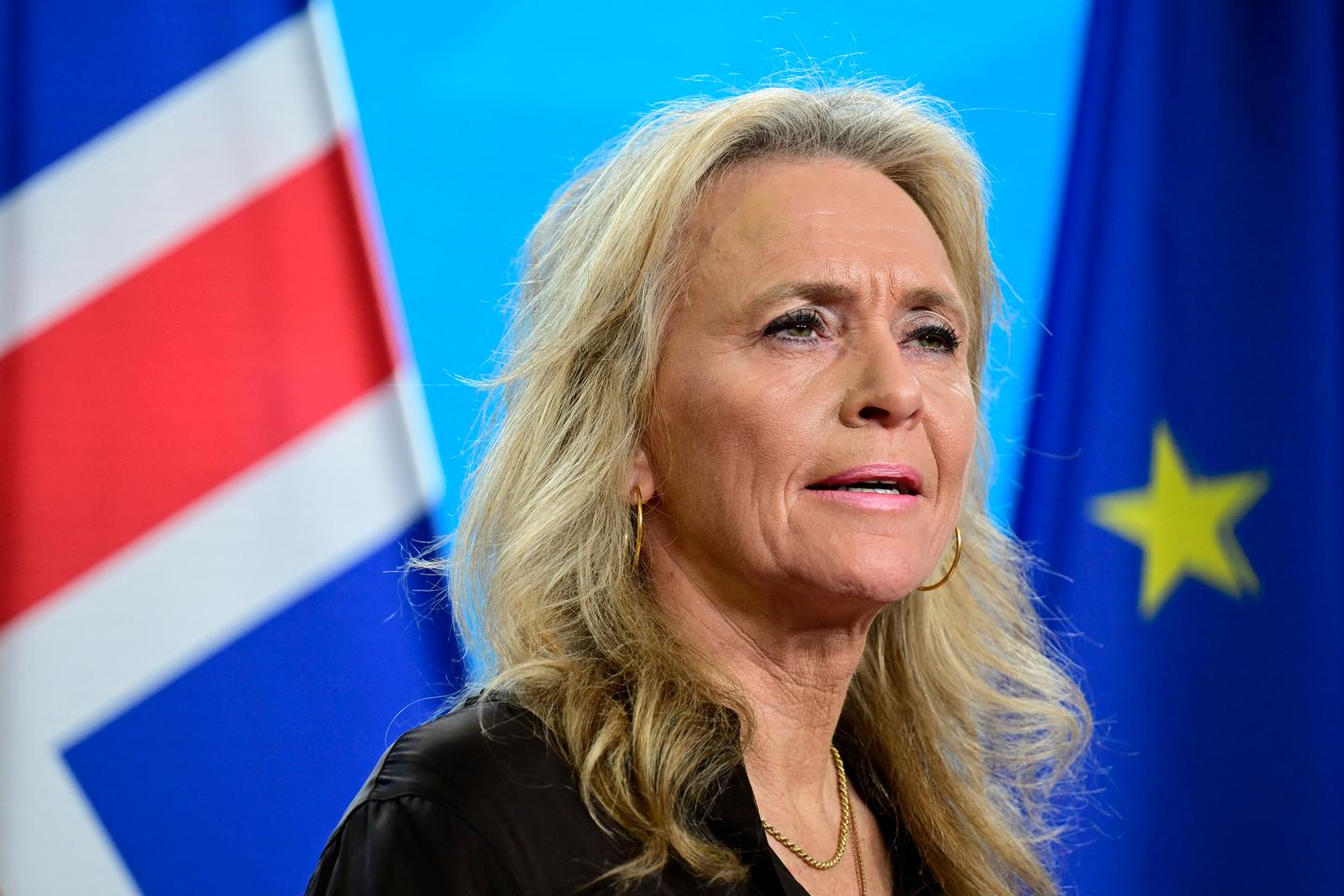 Islande : le gouvernement propose un référendum le 29 août sur la reprise des négociations d’adhésion à l’Union européenne