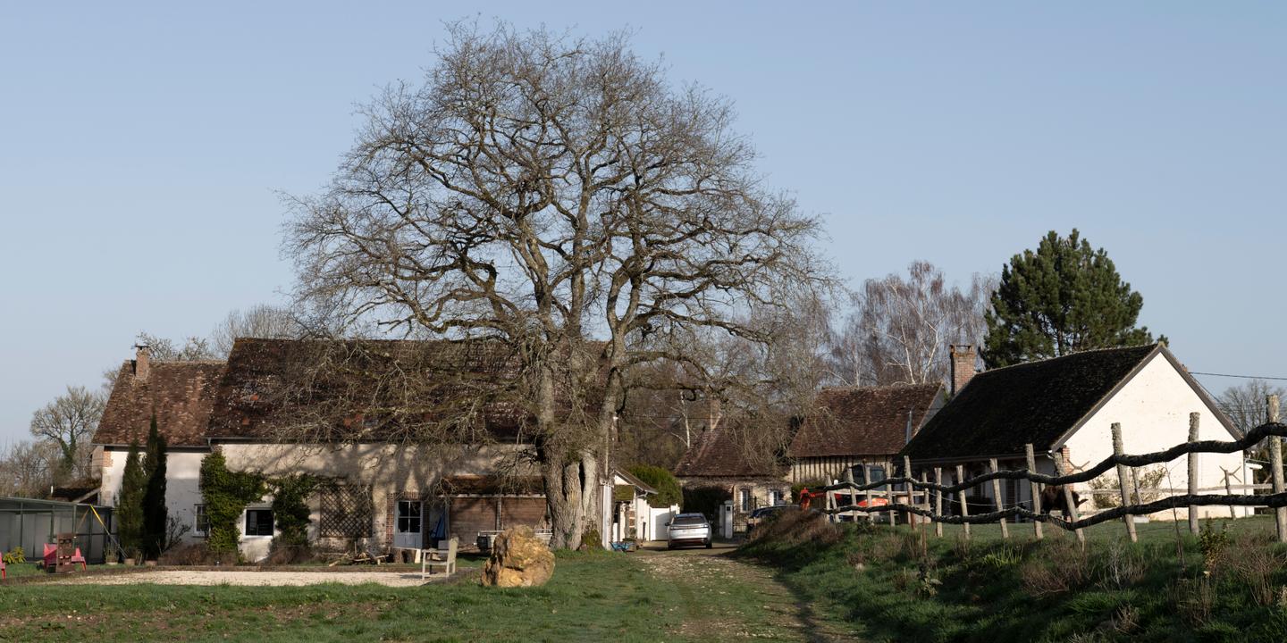 Dans l'Yonne, l'agrivoltaïsme suscite des inquiétudes dans un territoire touristique