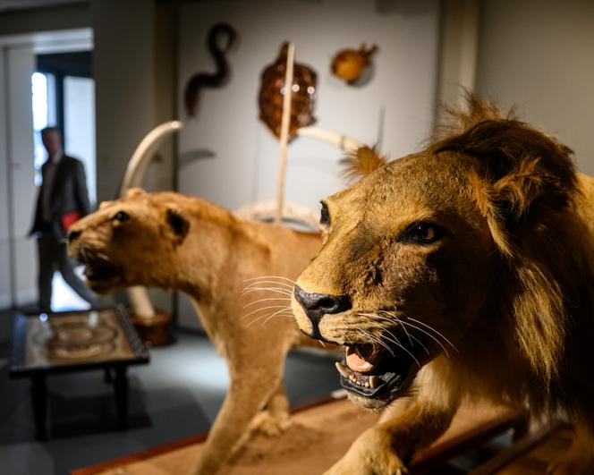 La Cité des présents François-Mitterrand, à Château-Chinon (Nièvre), le 6 mars 2026.