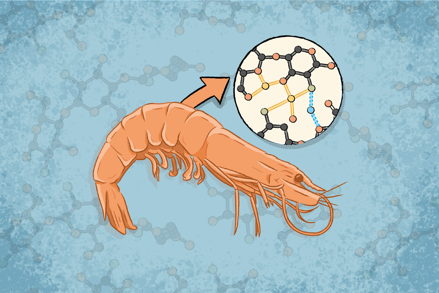 Un bioplastique résistant à l’eau et issu de déchets naturels