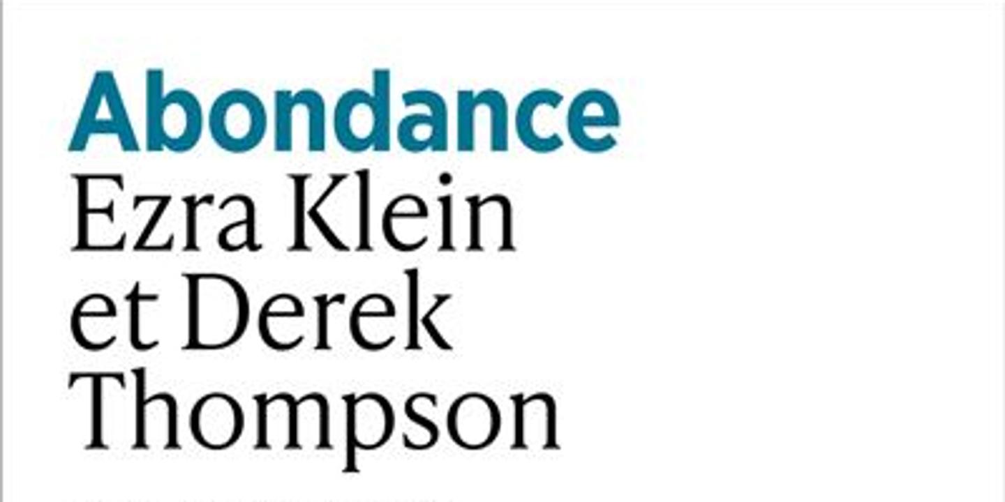 Le livre 'Abondance' d'Ezra Klein et Derek Thompson enflamme la gauche américaine