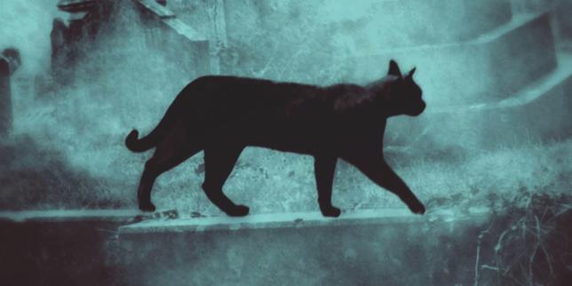 Notre sélection de livres cette semaine : « Déclaration de la personne », « Celles qui ne dorment pas », « Les Evadés du convoi 53 »…