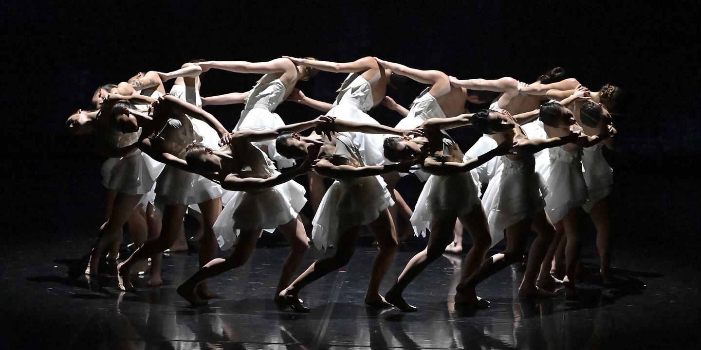 Le cygne, une source inépuisable d'inspiration pour la danse contemporaine
