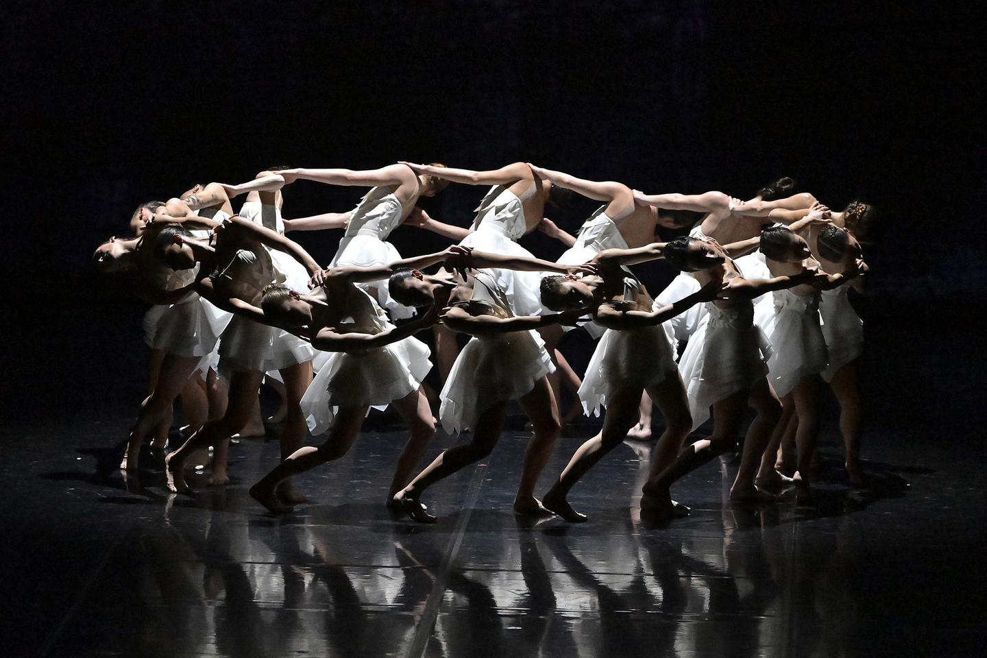 Le cygne, un inépuisable réservoir d’imaginaire pour la danse