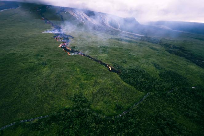 Um fluxo de lava atravessando uma área arborizada do Piton de la Fournaise, na Reunião, 12 de março de 2026.