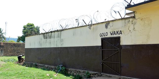 En Centrafrique, les deux employés de MSF libérés après leur arrestation à Zemio