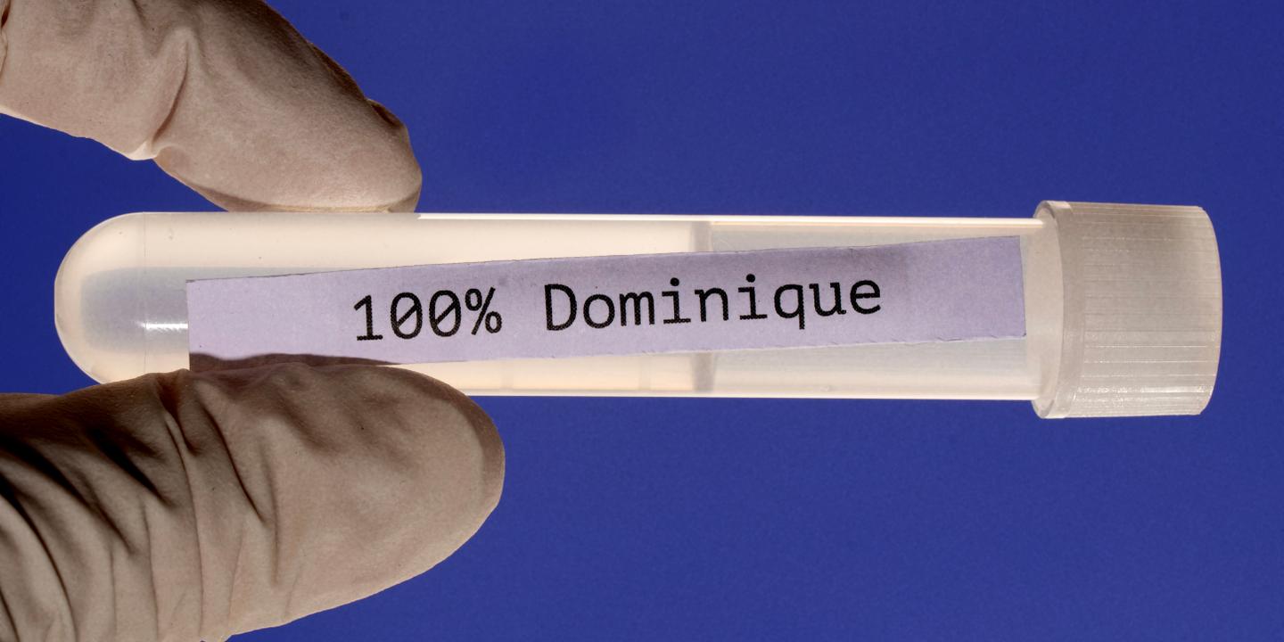 Le prénom Dominique jugé trop exagéré pour un film selon une étude sociologique