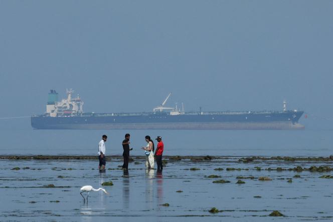 Le pétrolier « MT Desert Kite », qui transporte du pétrole russe, vu depuis le parc national marin de Narara, dans la mer d’Arabie, au Gujarat (Inde), le 11 mars 2026.