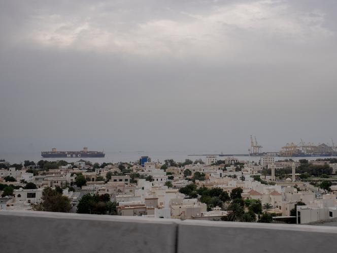 Un porte-conteneurs, à Khor Fakkan (Emirats arabes unis), près du détroit d’Ormuz, le 9 mars 2026. 