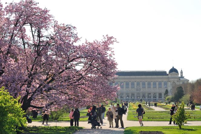 Vue du Jardin des plantes, à Paris, au printemps.