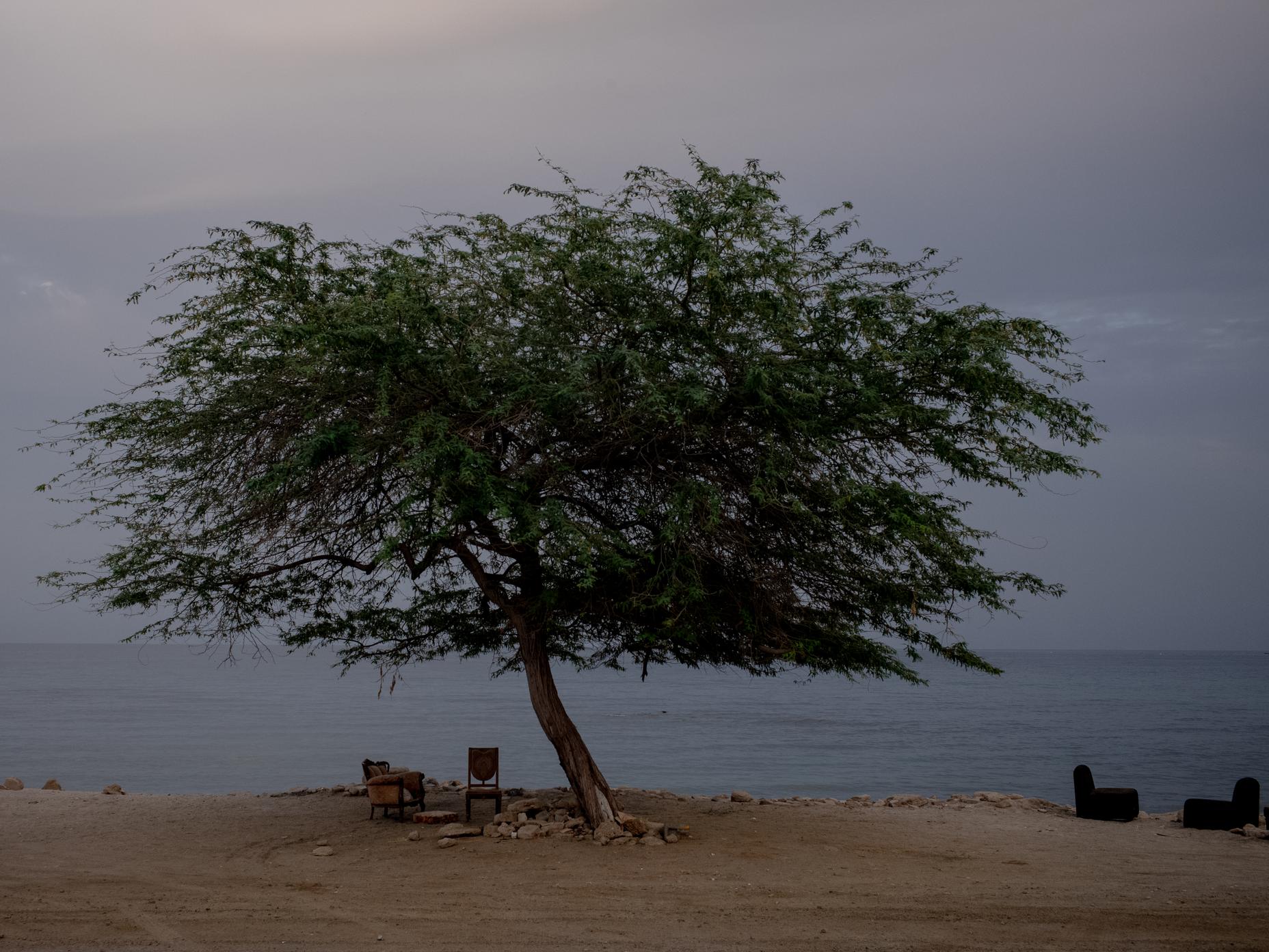 Aux Emirats arabes unis, les pêcheurs victimes collatérales de la guerre en Iran