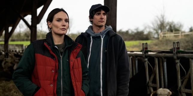 Pour « La Guerre des prix », son premier film, Anthony Dechaux plonge parmi les requins tueurs de la grande distribution