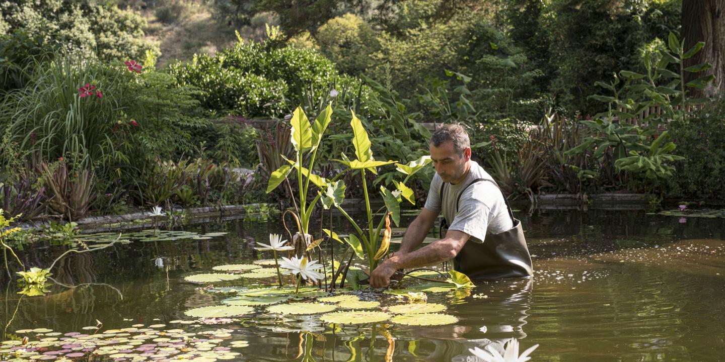 De Paris à Menton : cinq jardins du Muséum national d'histoire naturelle à découvrir