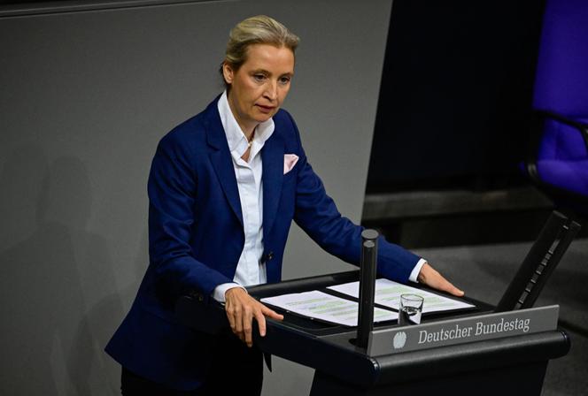 Alice Weidel, co-présidente du parti d’extrême droite Alternativ für Deutschland (AfD), au Bundestag , à Berlin, le 29 janvier 2026.