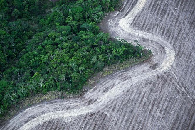 Vue aérienne montrant une zone déboisée de la forêt amazonienne, préparée pour la plantation, aux environs de Belém, dans l’Etat du Pará (Brésil), le 12 novembre 2025, durant la COP30.