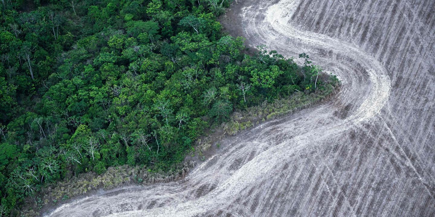 Le Brésil place la lutte contre la déforestation au cœur de son nouveau plan sur le climat