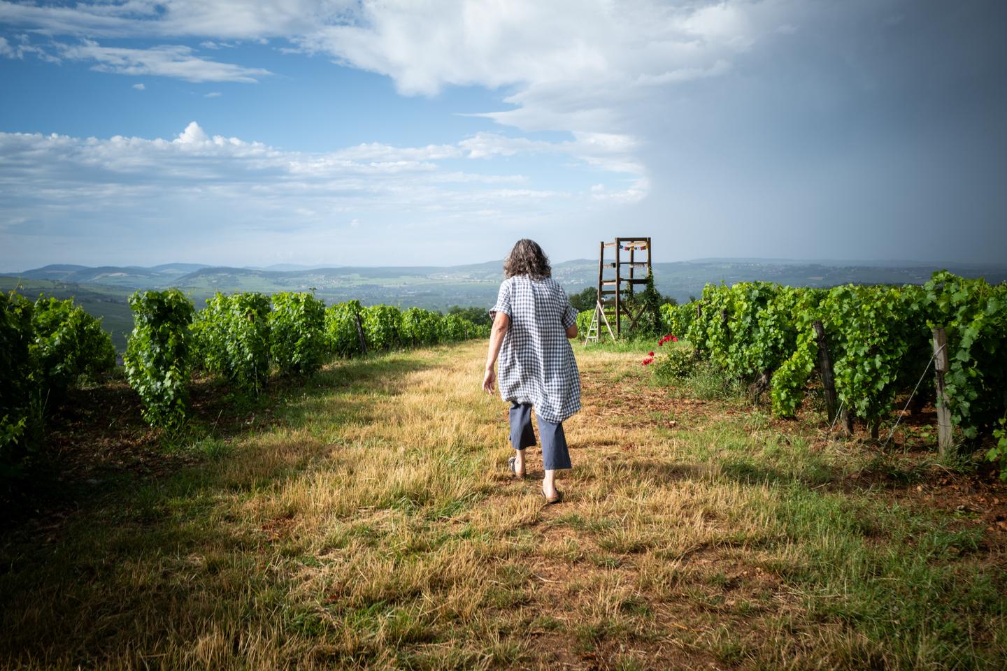 Vins : être ou ne pas être bio, le dilemme du Mâconnais Vins : être ou ne pas être bio, le dilemme du Mâconnais