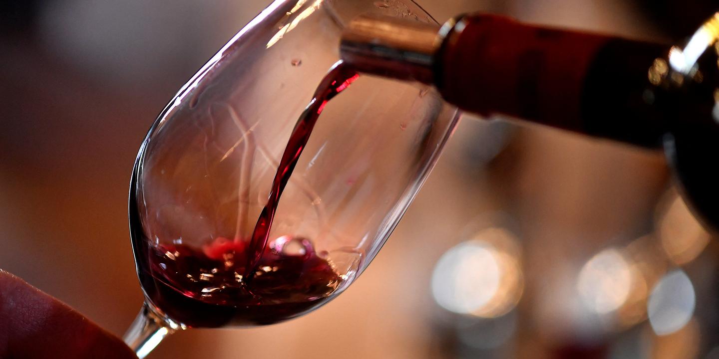 Les Pinots Noirs du Nord-Est de la France : une sélection d'excellence