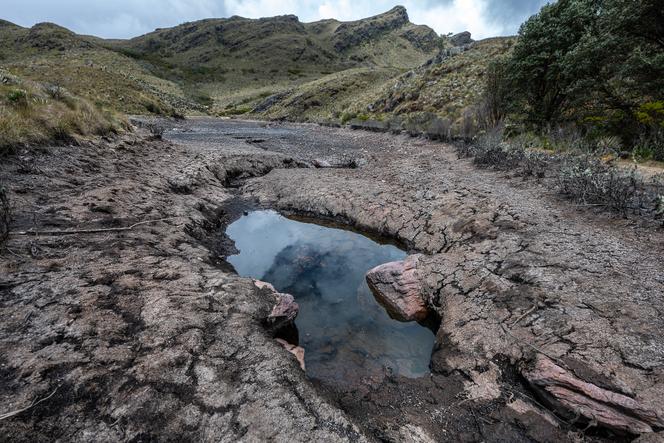 Les lagunes du parc naturel « Pan de Azucar », à Belén, en Colombie, touchées par la sécheresse liée à El Niño et aux records de chaleur, le 21 avril 2024.