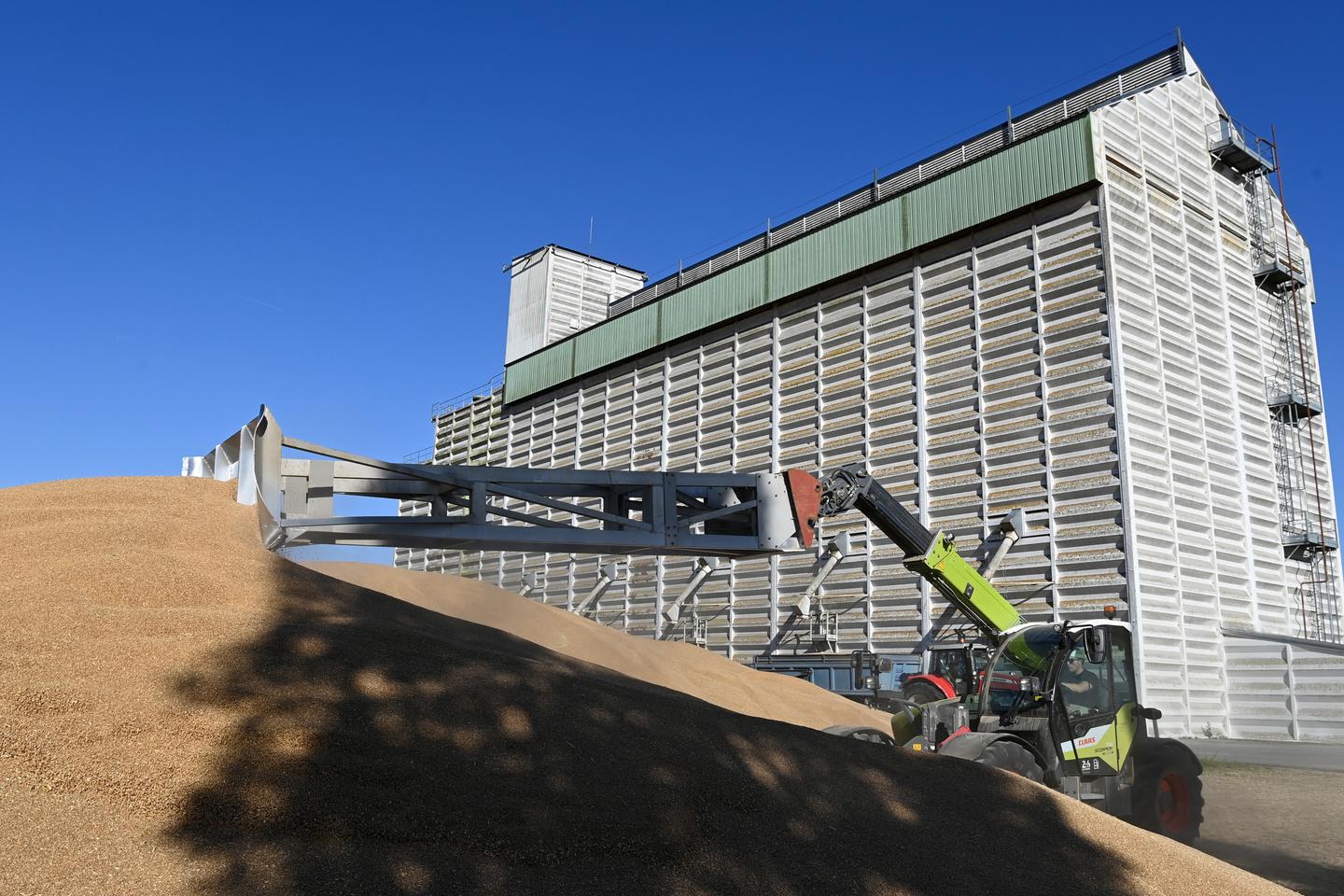 « Le cours des céréales reste au ras des pâquerettes » « Le cours des céréales reste au ras des pâquerettes »