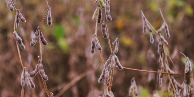 UN chief launches task force to aid passage of fertilizer through Hormuz Strait