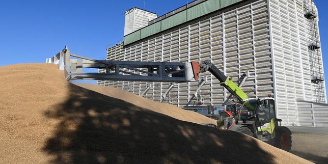 The Silent Rustle of a Falling Empire