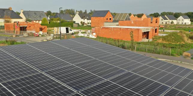 The Brutal Truth About Why the Green Transition is Stalling During the Energy Crisis