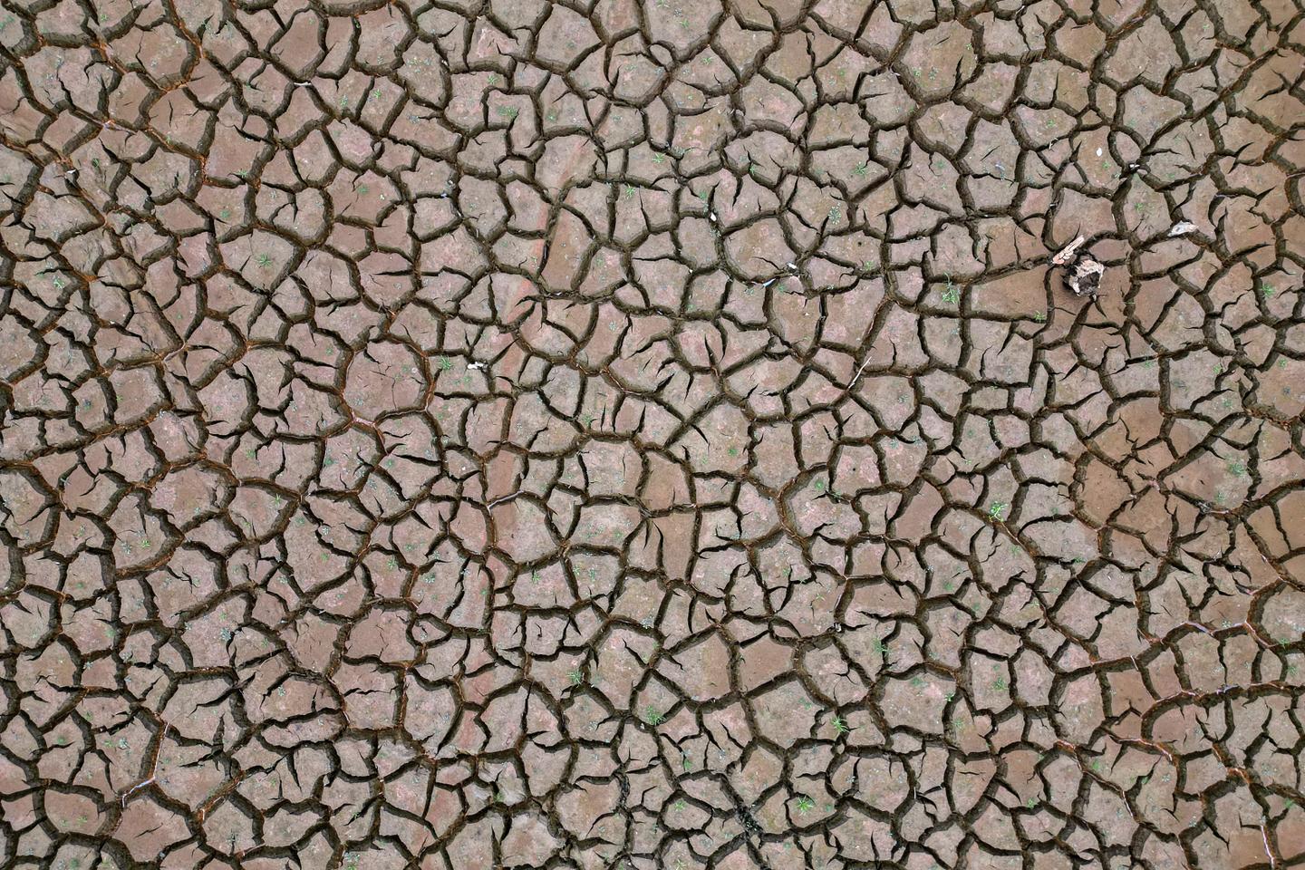 Climat : la Terre a accumulé une chaleur record en 2025, selon l’ONU