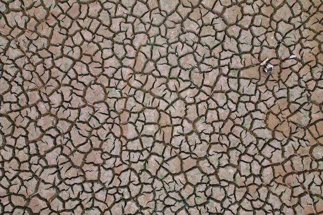 Une vue aérienne du sol craquelé d’une zone auparavant immergée, lors d’une sécheresse, à Joanopolis (Brésil), le 11 décembre 2025.