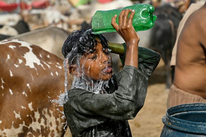 Un enfant se rafraîchit lors d’une journée particulièrement chaude sur un marché aux bestiaux à Karachi (Pakistan), le 31 mai 2025.