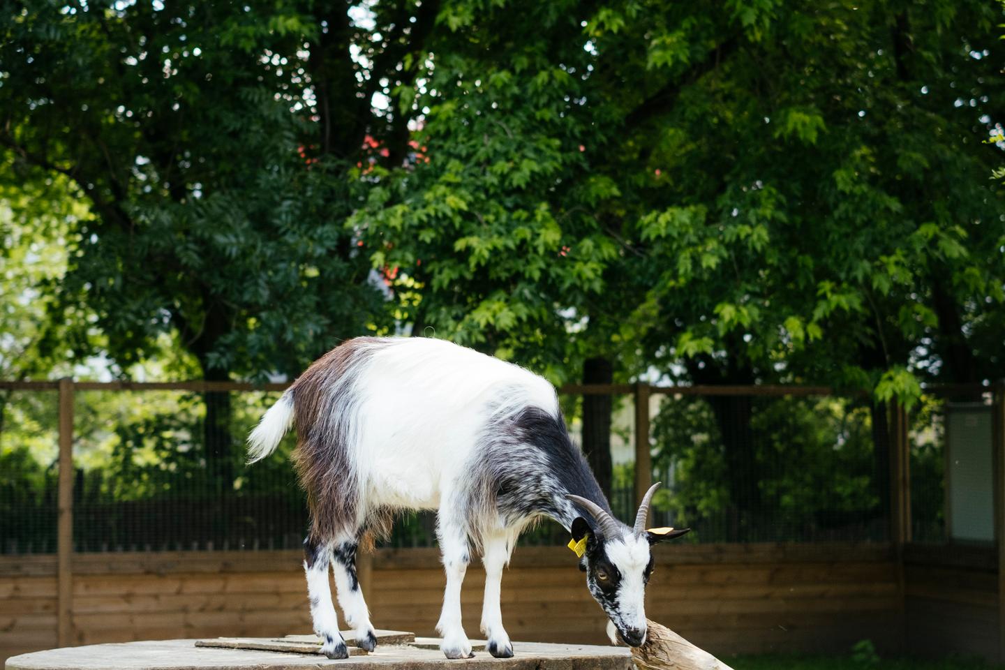 Que faire, que voir, où aller ? L’agenda culturel et lifestyle de la semaine