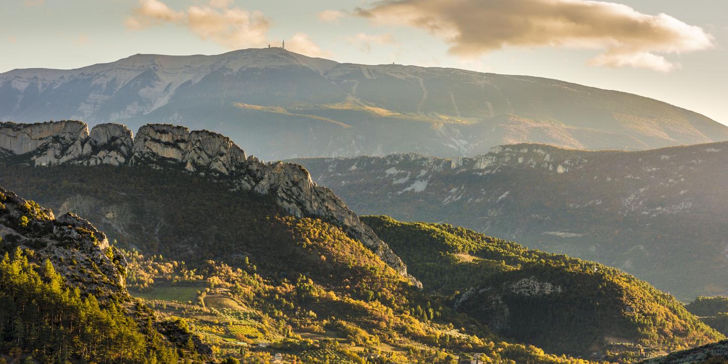 Dans la Drôme provençale, un sanctuaire naturel au cœur des vallées et des vautours