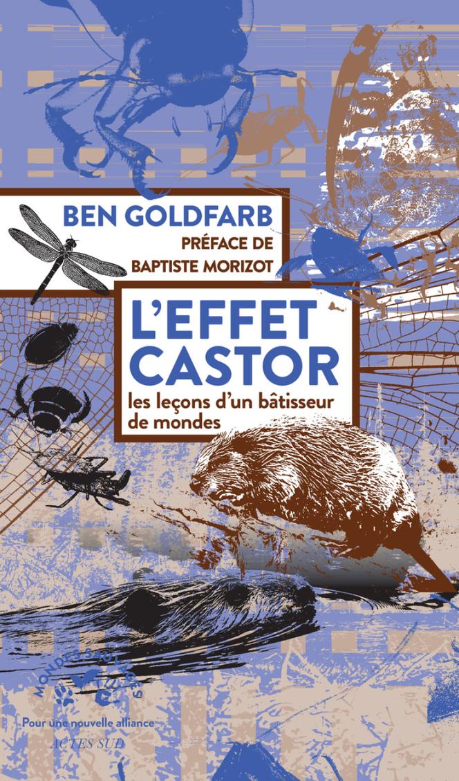 L’Effet castor, les leçons d’un bâtisseur de mondes, de Ben Goldfarb, Actes Sud, 384 p., 23 €, numérique 16,99 €