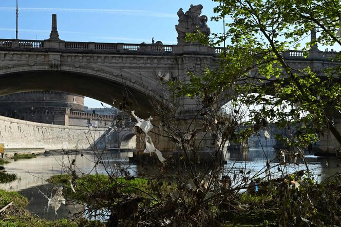 Shreds of plastic hang from tree branches along the Tiber River in Rome, Italy, on March 25, 2026.
