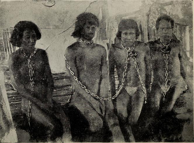 Des Indiens enchaînés, esclaves de l’exploitation du caoutchouc en Amazonie, sur une photo publiée dans l’ouvrage « Le Putumayo, paradis du diable : voyage en Amazonie péruvienne et récit des atrocités infligées aux populations indigènes », écrit par Walter Ernest Hardenburg et paru en 1913.