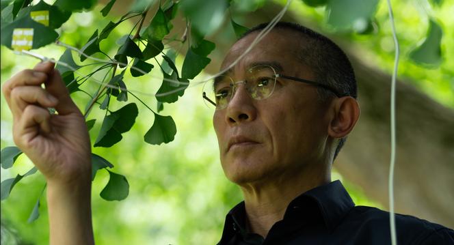 Tony Leung Chiu-wai (Tony) dans « Silent Friend », d’Ildiko Enyedi.