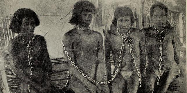 Au Pérou, la mémoire vive des massacres du « boom du caoutchouc »