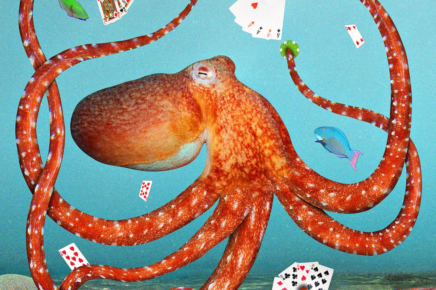 Les animaux font-ils preuve d’une capacité d’abstraction en jouant ?