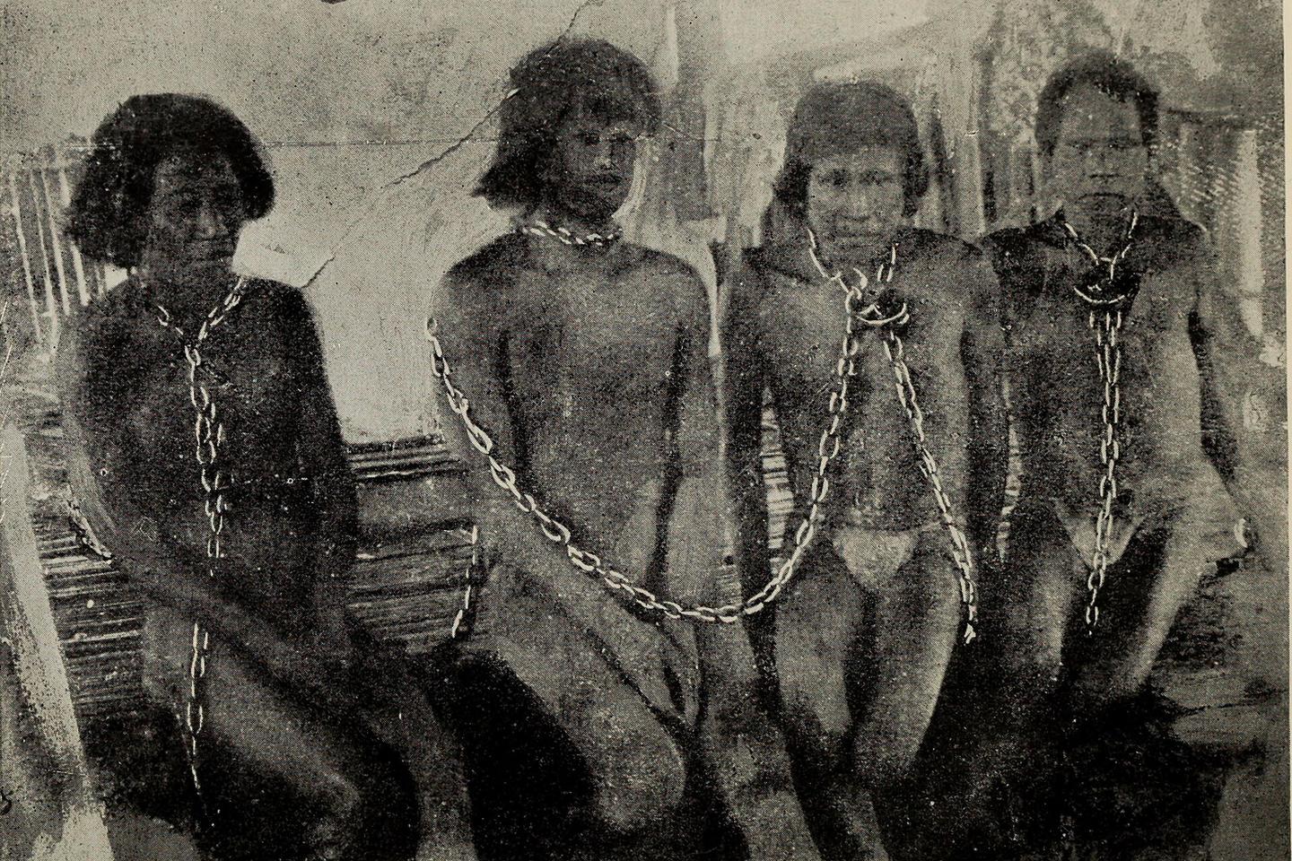 Au Pérou, la mémoire vive des massacres du « boom du caoutchouc »