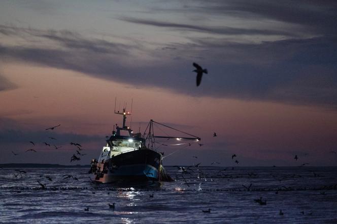 Un bateau de pêche au large du Conquet (Finistère), le 17 juillet 2025.