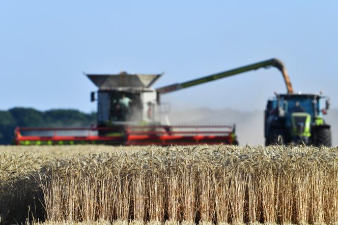 Colheita num campo de trigo mole, perto de La Ville-aux-Nonains (Eure-et-Loire), 10 de julho de 2025. 